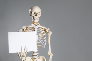 Photo of Artificial human skeleton model with blank paper sheet on grey background. Space for text