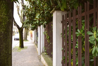 View of city street with fence, plants and trees