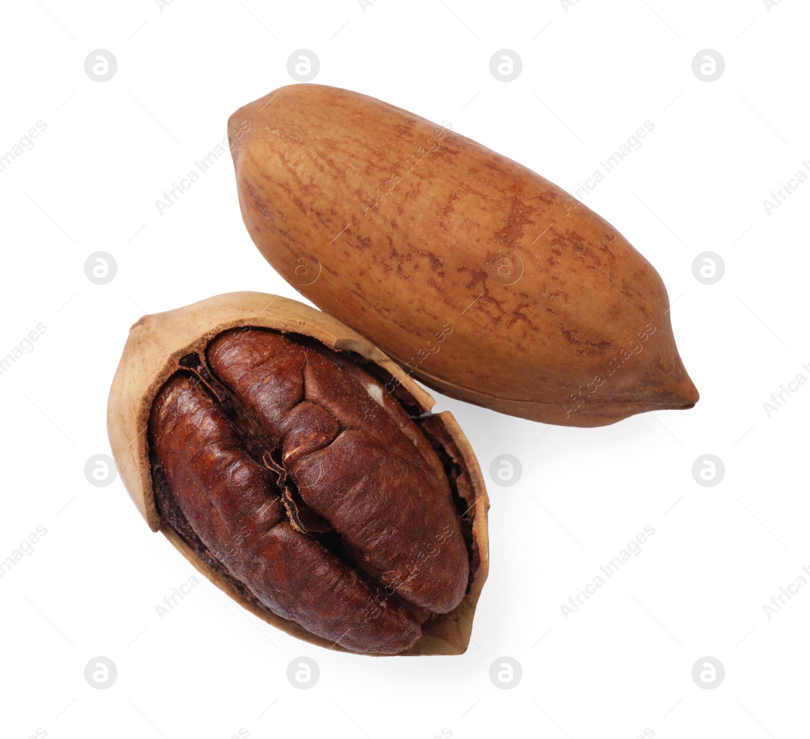 Photo of Two tasty pecan nuts isolated on white