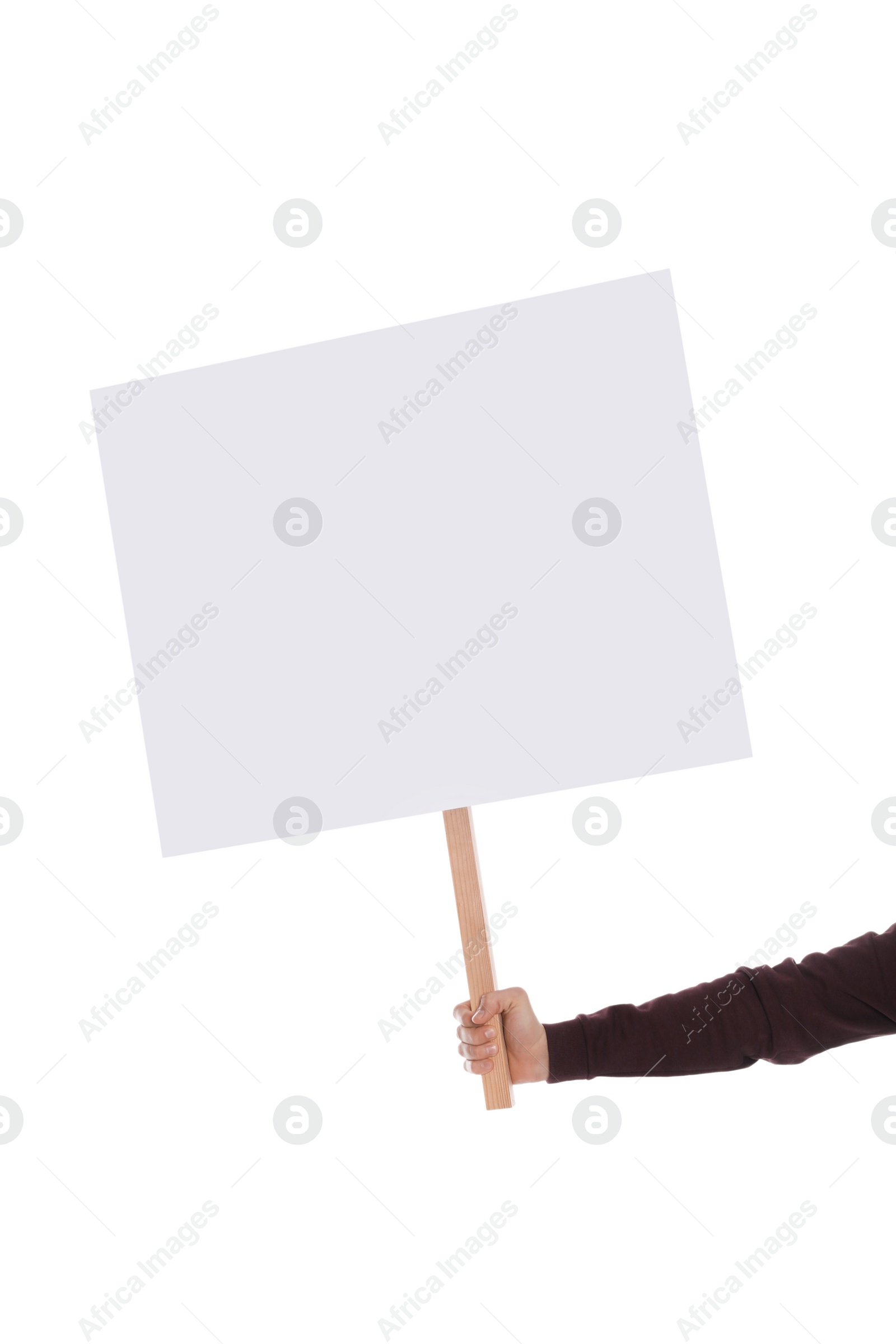 Photo of Woman holding blank sign on white background, closeup