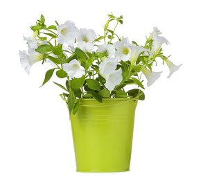 Photo of Beautiful petunia flowers in green pot isolated on white