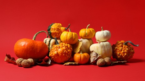 Photo of Happy Thanksgiving day. Beautiful composition with pumpkins on red background