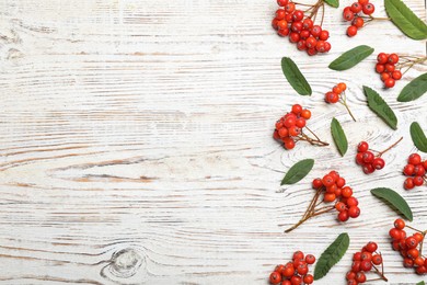 Photo of Fresh ripe rowan berries and green leaves on white wooden table, flat lay. Space for text