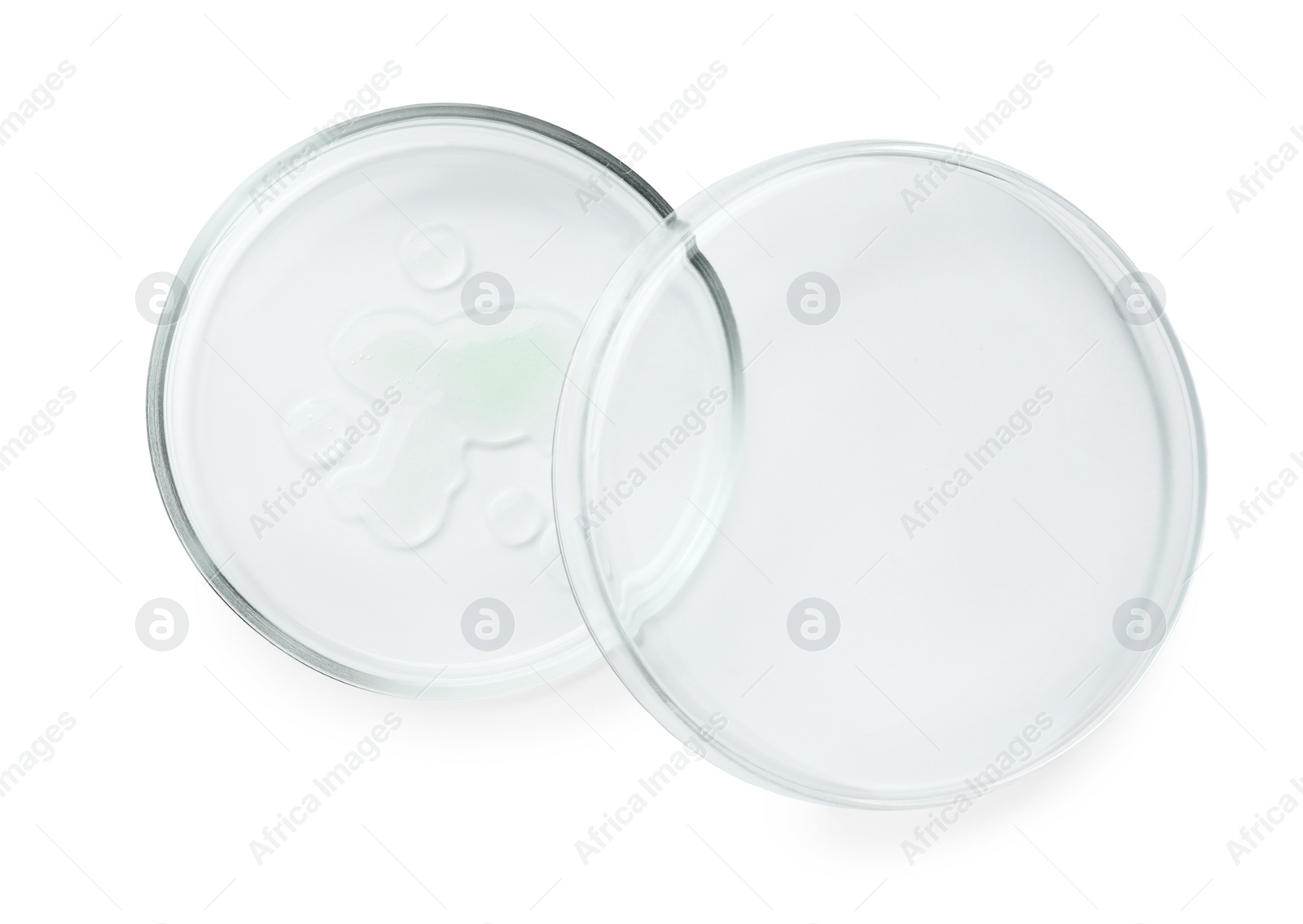 Photo of Petri dishes with different liquids on white background, top view