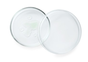 Photo of Petri dishes with different liquids on white background, top view