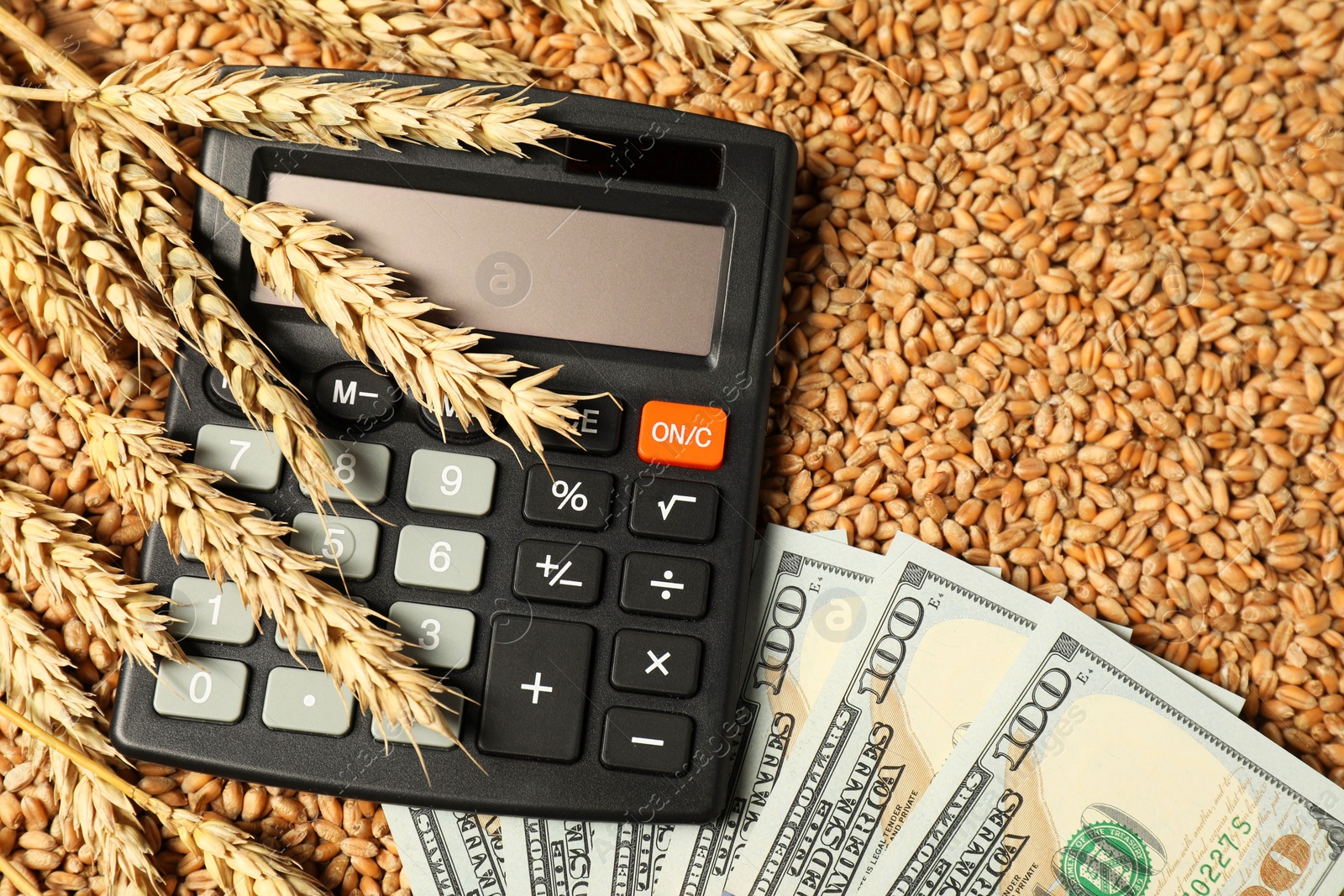 Photo of Dollar banknotes, calculator and wheat ears on grains, top view. Agricultural business