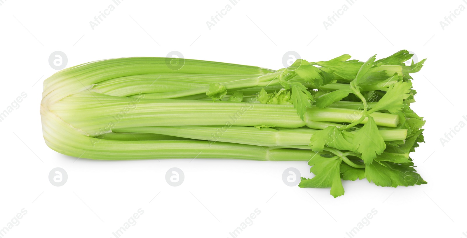 Photo of Fresh green celery bunch isolated on white