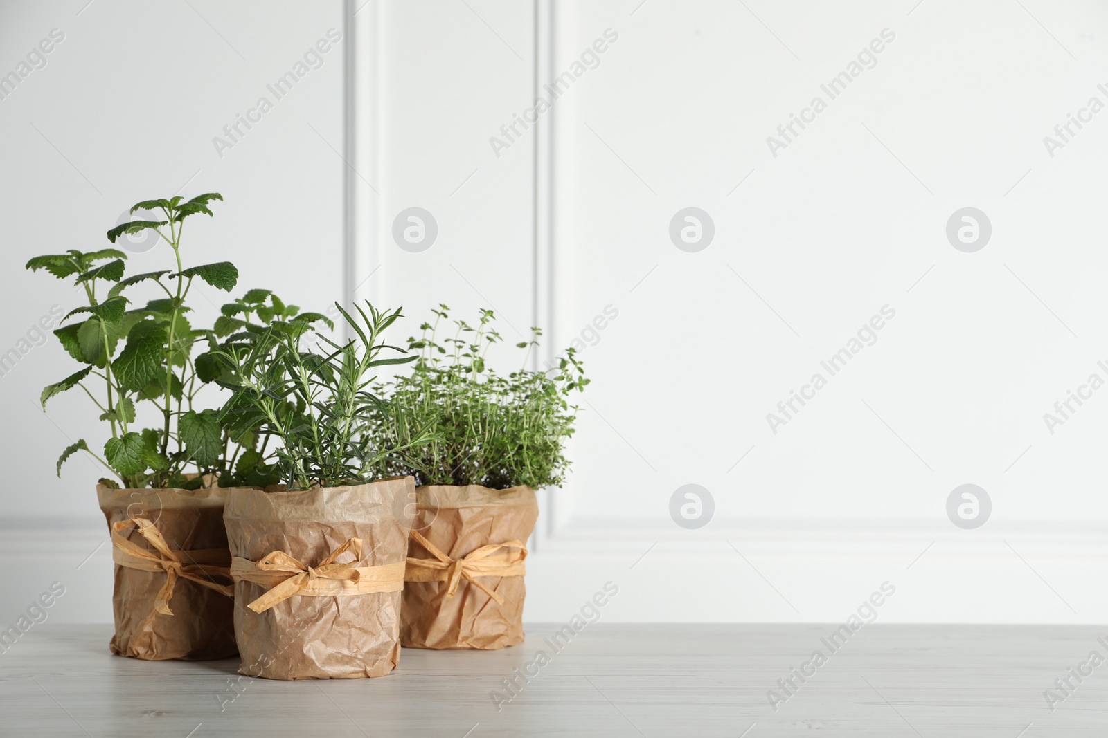 Photo of Different aromatic potted herbs on floor near white wall. Space for text