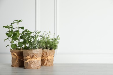 Photo of Different aromatic potted herbs on floor near white wall. Space for text
