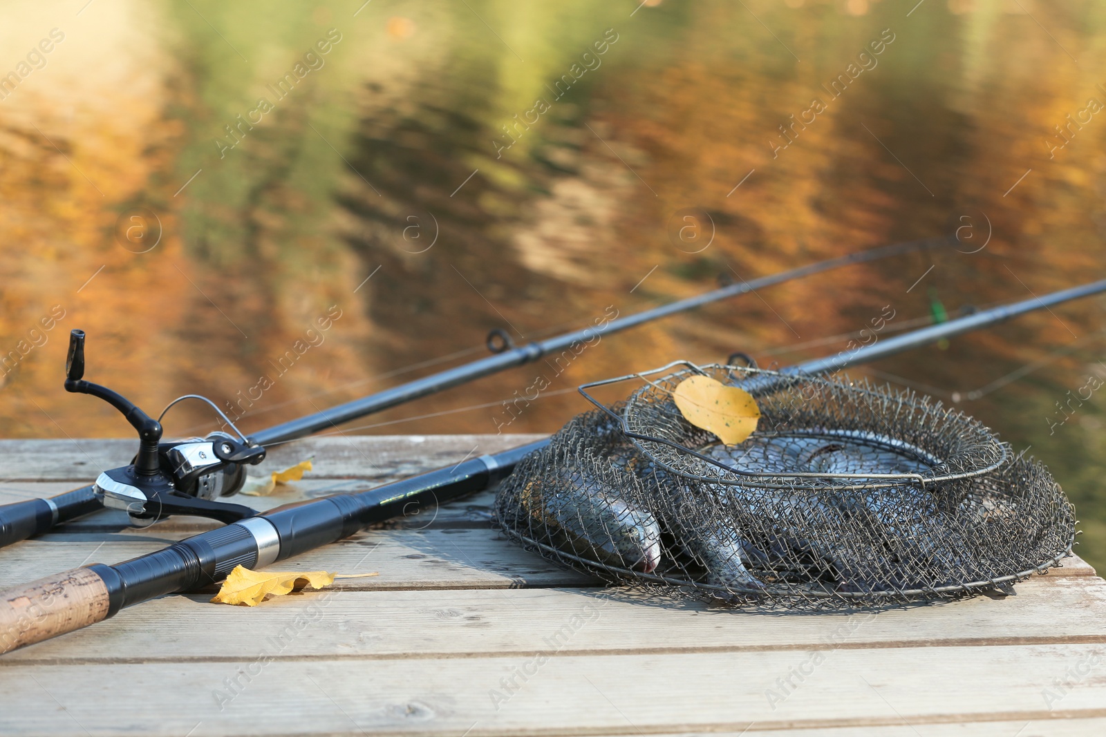 Photo of Fishing rods and fresh fish on wooden pier near pond