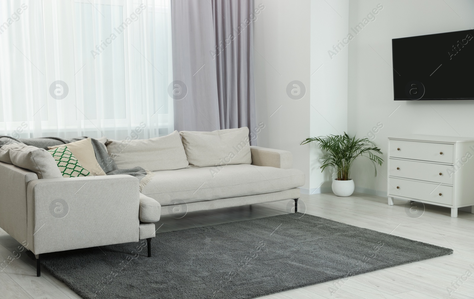 Photo of Stylish living room interior with cozy sofa and houseplant