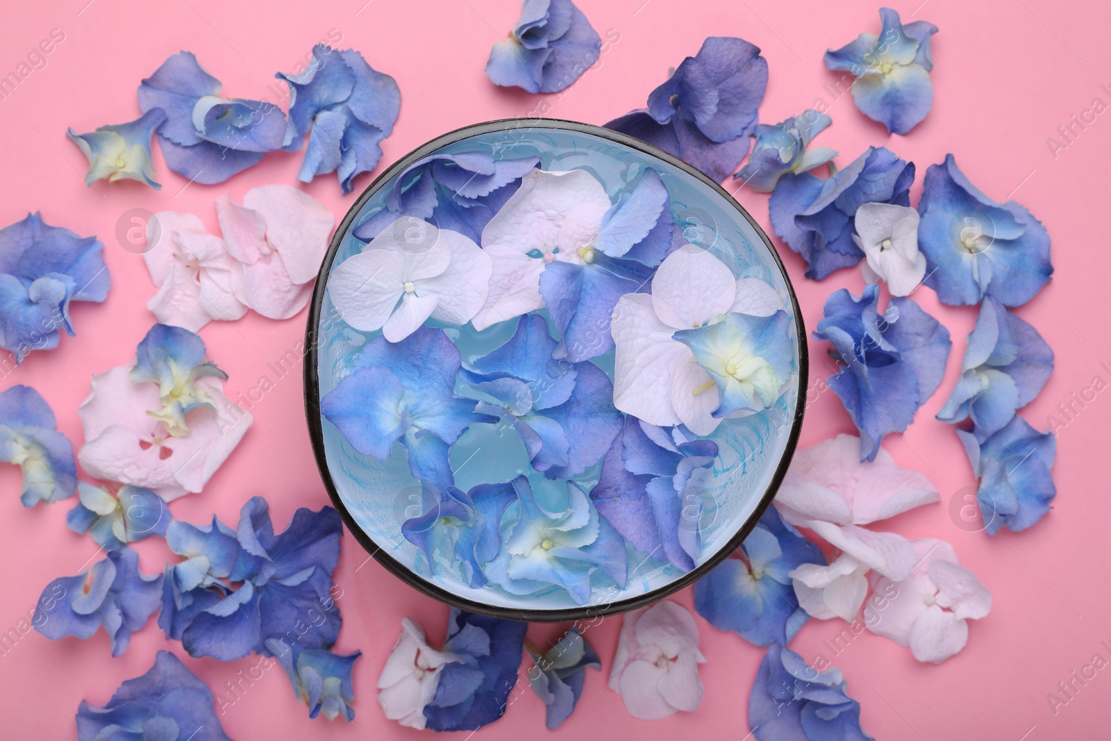 Photo of Spa composition. Aromatic water in bowl and flowers on pink background, flat lay