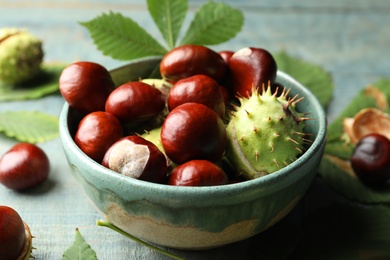 Photo of Horse chestnuts in bowl on blue wooden table, closeup