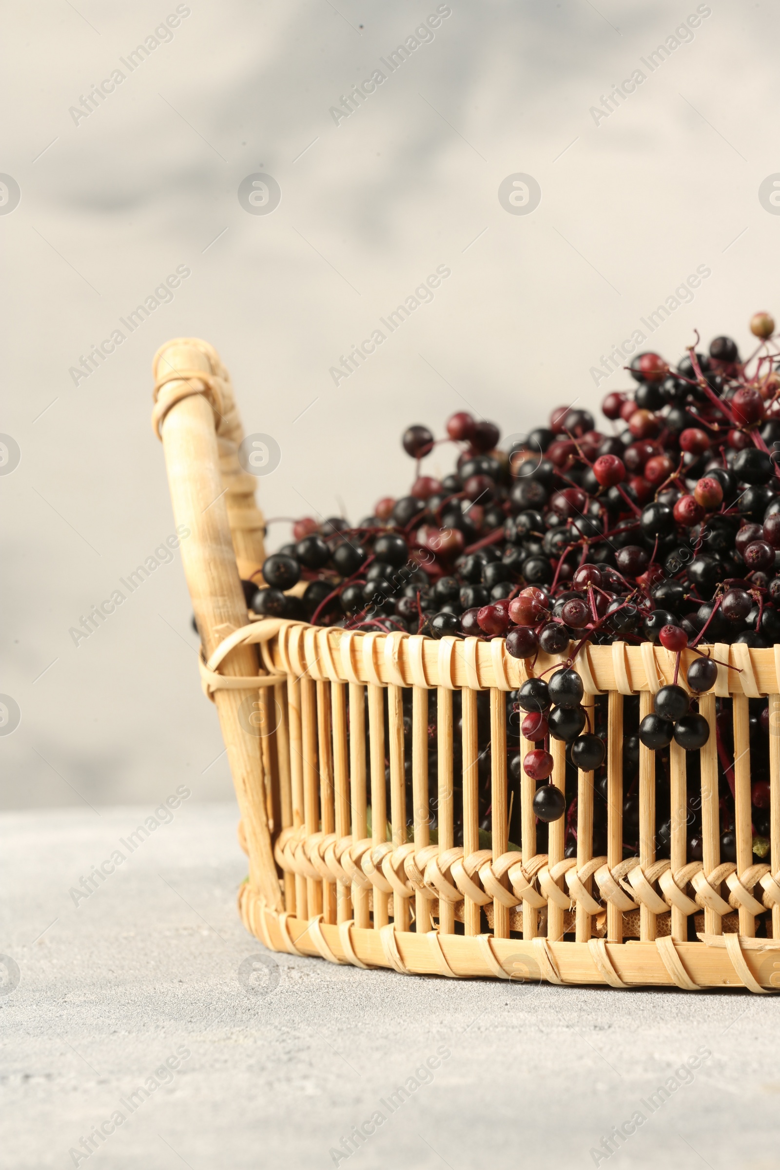 Photo of Ripe elderberries in wicker basket on light grey table