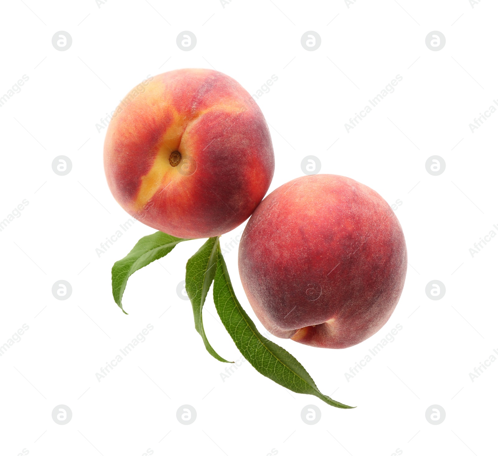 Photo of Delicious ripe juicy peaches with leaves isolated on white, top view