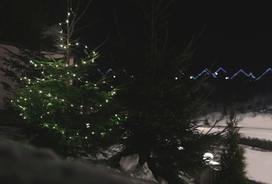 Fir tree with Christmas lights and snow outdoors