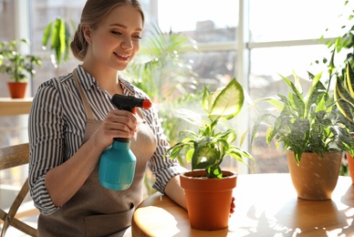 Photo of Young beautiful woman taking care of home plants at table indoors, space for text
