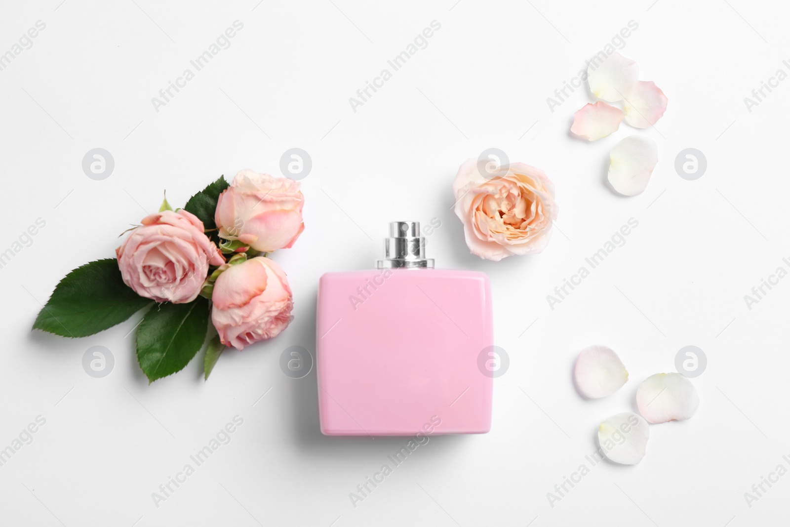 Photo of Bottle of perfume and roses on white background, top view