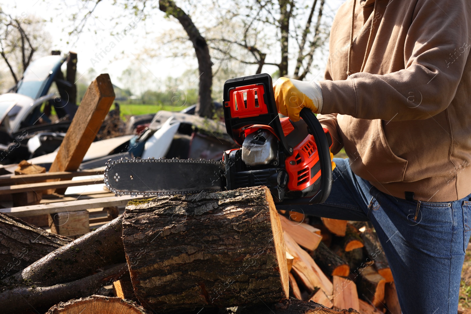 Photo of Man sawing wooden log on sunny day, closeup