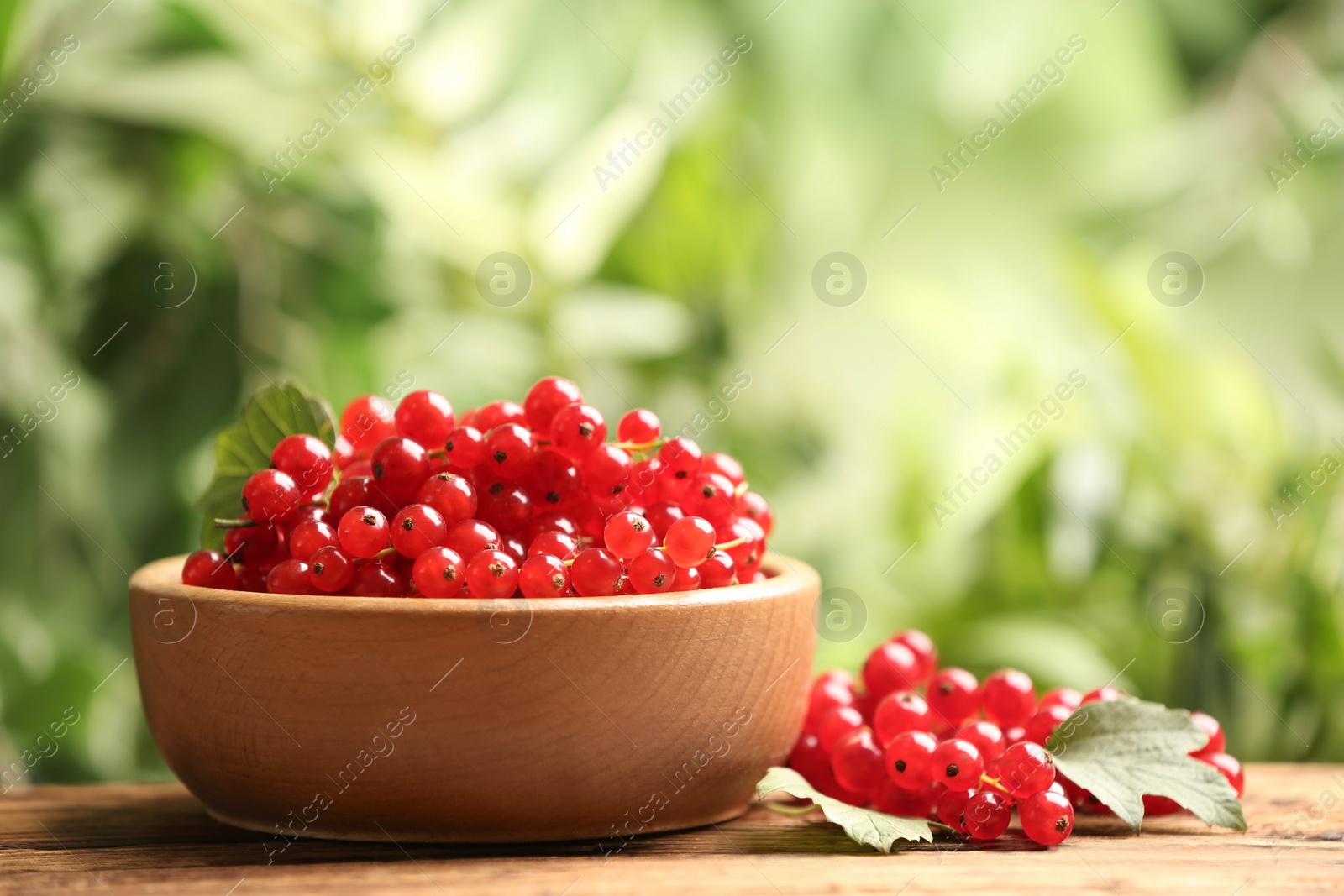 Photo of Ripe red currants on wooden table against blurred background. Space for text