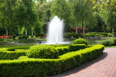 Photo of Pond with fountain in beautiful garden on sunny day