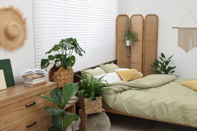 Comfortable bed and beautiful green houseplants in bedroom