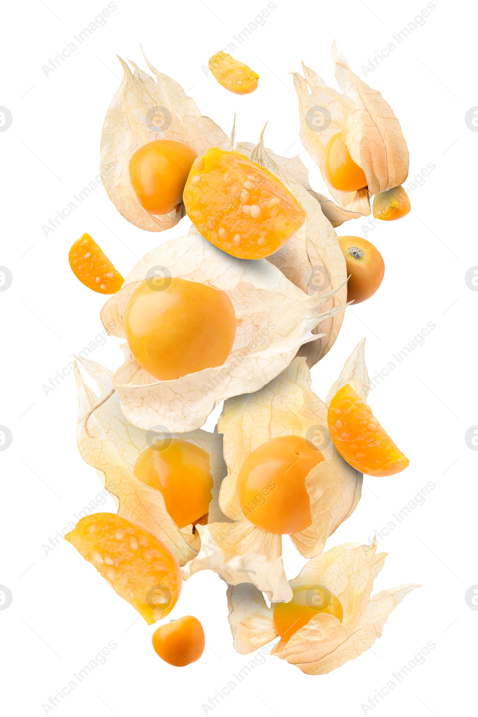 Image of Ripe orange physalis fruits with calyx falling on white background