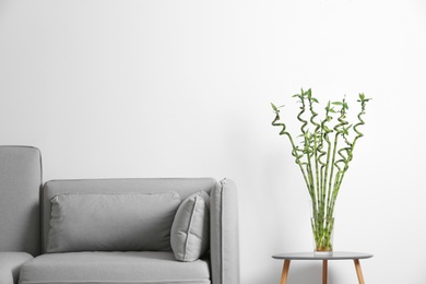 Vase with green bamboo on table near sofa in room. Space for text