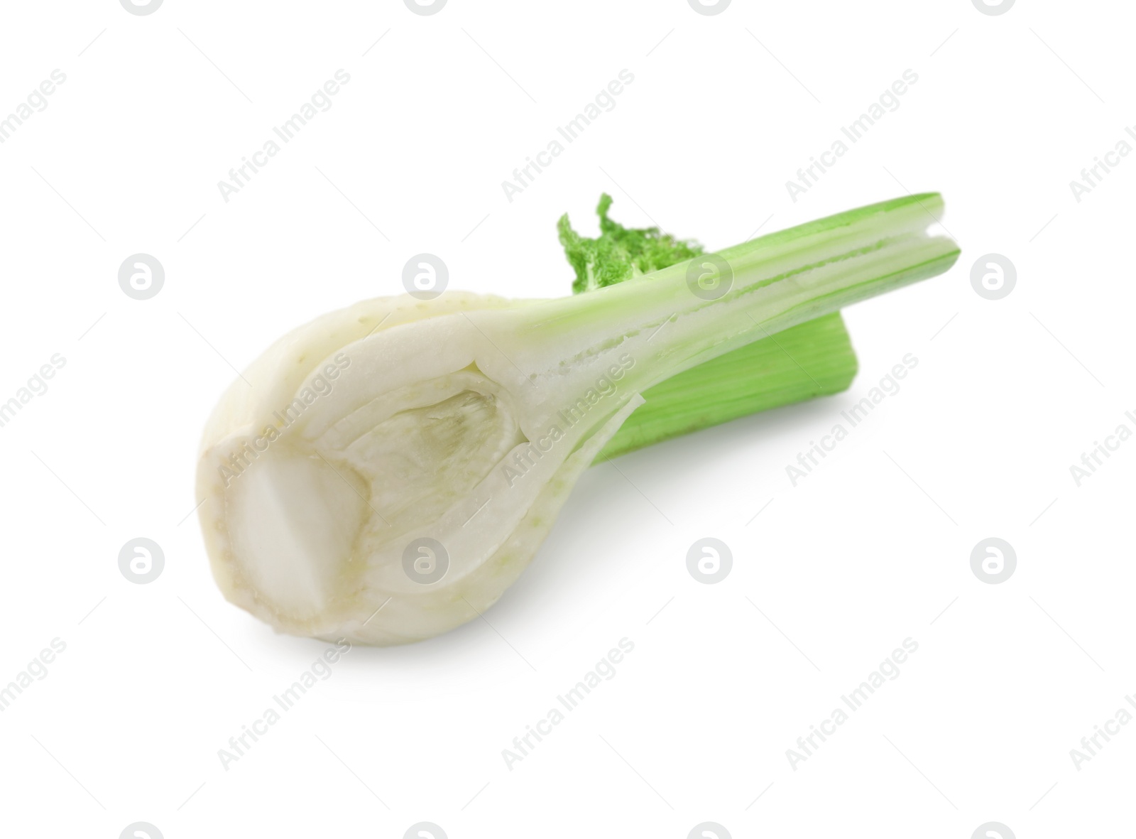 Photo of Cut fresh fennel bulb isolated on white