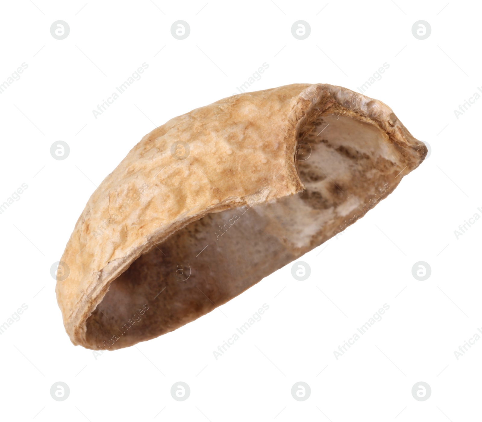 Photo of Piece of peanut pod isolated on white