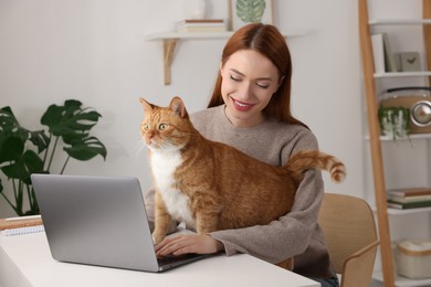 Photo of Happy woman with cat working at desk. Home office
