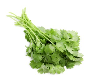 Bunch of fresh coriander on white background, top view