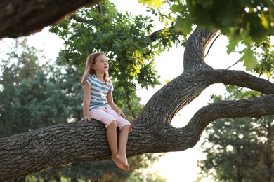 Photo of Cute little girl sitting on tree outdoors. Child spending time in nature