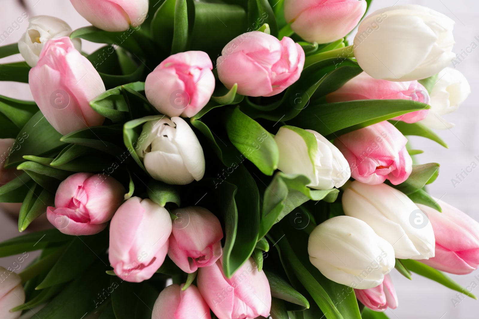 Photo of Big bouquet of beautiful tulips, closeup view