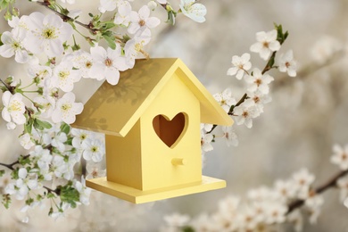 Beautiful wooden bird house hanging on blossoming tree outdoors. Springtime