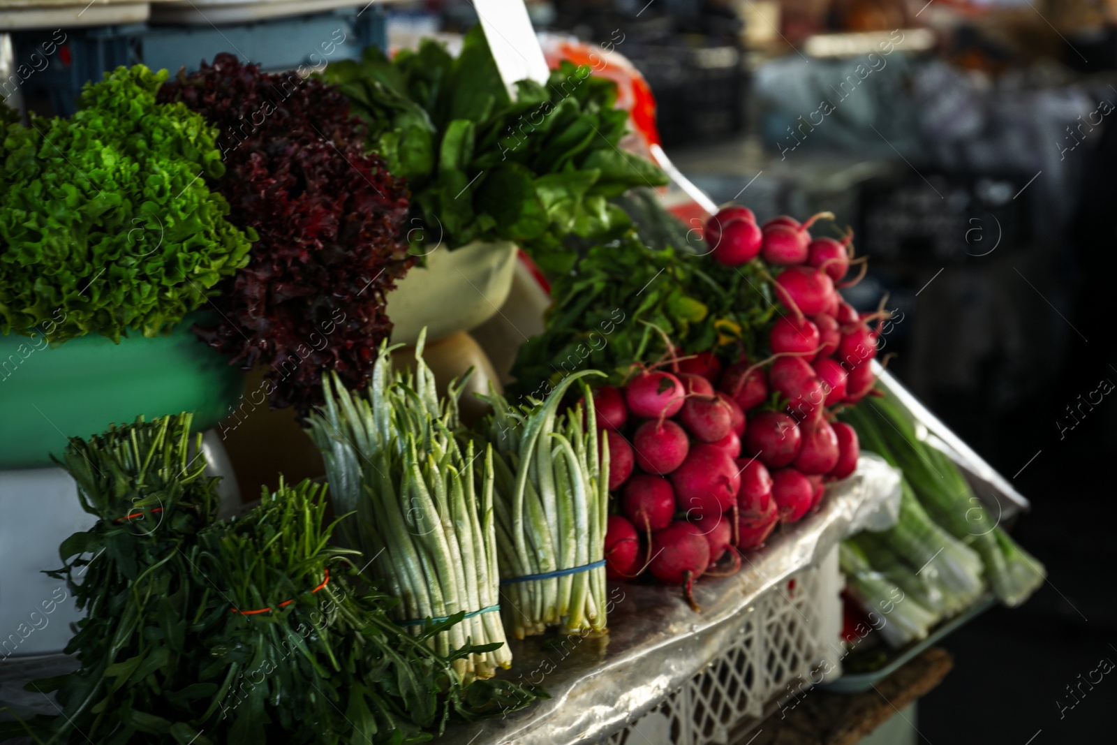 Photo of Fresh ripe vegetables on counter at wholesale market