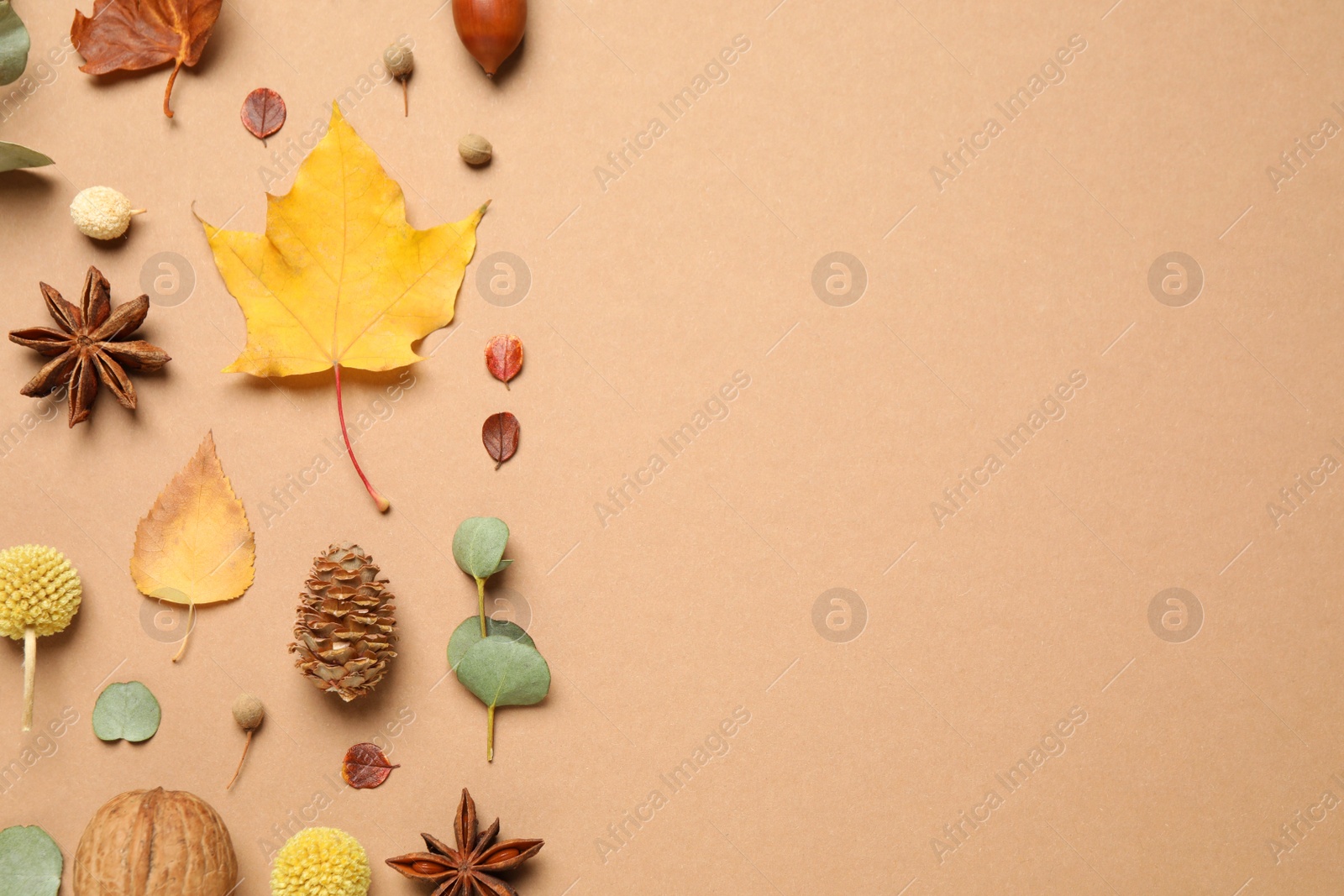 Photo of Flat lay composition with autumn leaves on beige background, space for text