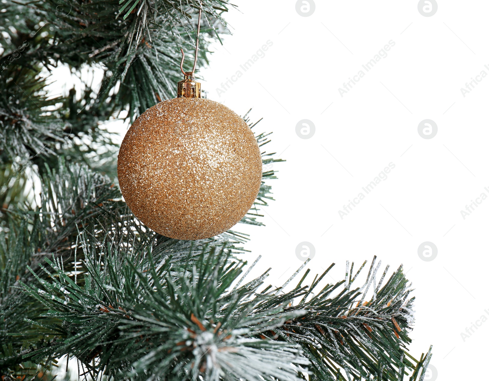 Photo of Beautiful Christmas tree with decor on white background, closeup. Celebration time