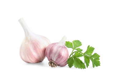 Photo of Fresh garlic heads and parsley isolated on white