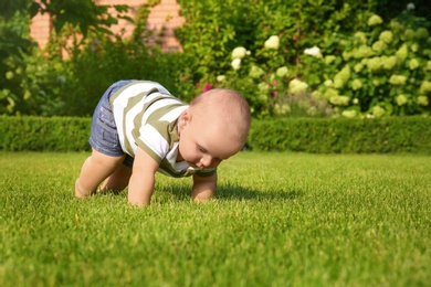 Adorable little baby crawling on green grass outdoors