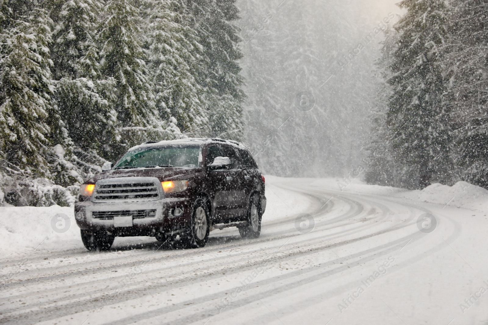 Photo of Modern car on snowy road near forest. Winter vacation