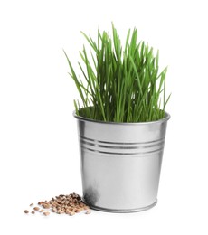 Photo of Potted wheat grass and seeds isolated on white