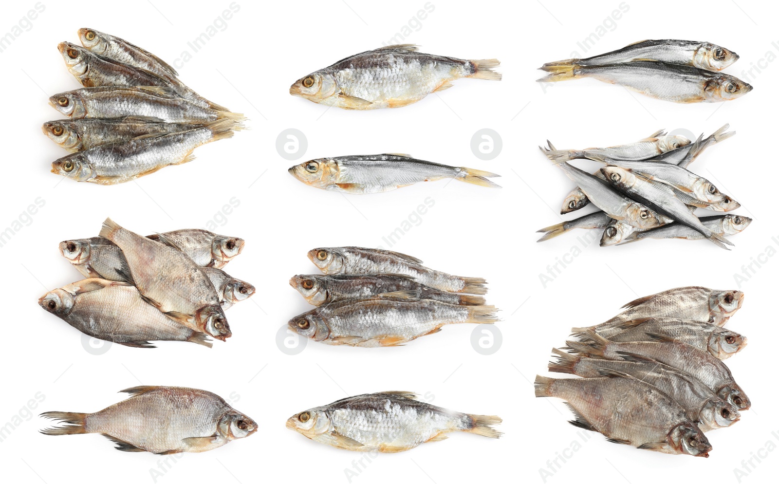 Image of Set of tasty dry fish on white background