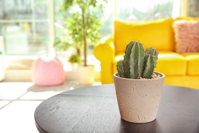 Photo of Beautiful cactus in flowerpot on table indoors