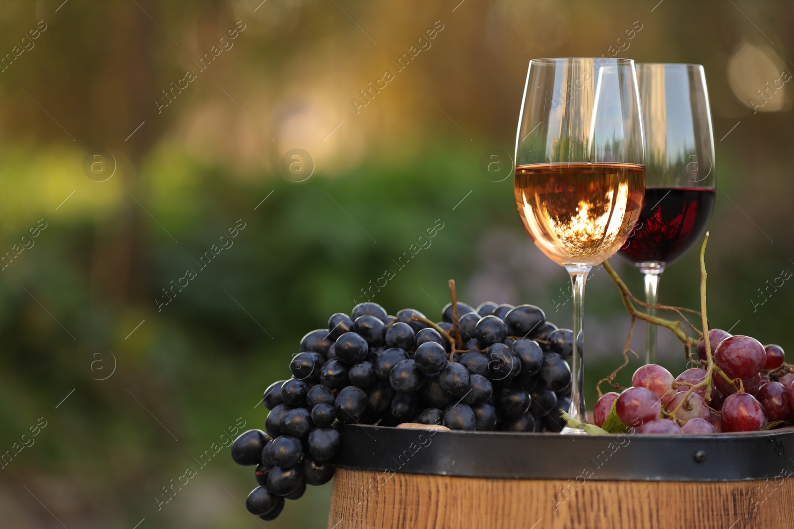 Photo of Delicious wines and ripe grapes on wooden barrel outdoors, space for text