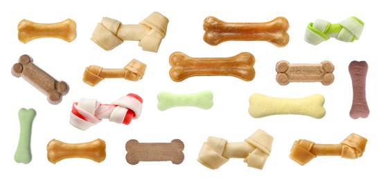 Set with different bone dog treats on white background