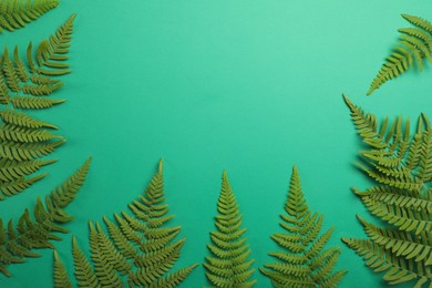 Beautiful tropical fern leaves on light green background, flat lay. Space for text