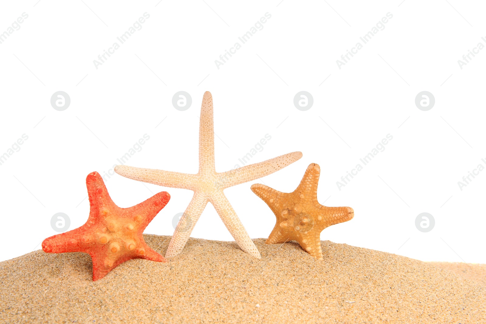 Photo of Beautiful sea stars (starfish) in sand isolated on white