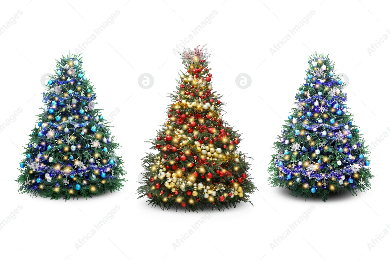 Image of Christmas trees decorated with ornaments and festive lights isolated on white, set