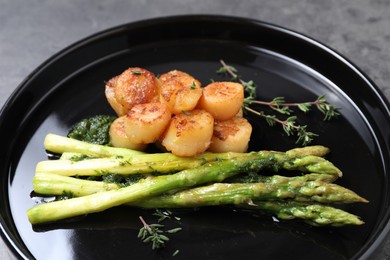 Delicious fried scallops with asparagus and thyme on grey table, closeup